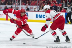 Red Wings vs Carolina Hurricanes Feb 24 2018 (31)