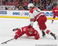 Red Wings vs Carolina Hurricanes Feb 24 2018 (32)