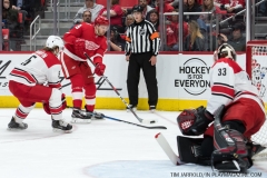 Red Wings vs Carolina Hurricanes Feb 24 2018 (33)