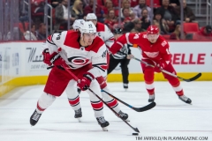 Red Wings vs Carolina Hurricanes Feb 24 2018 (40)