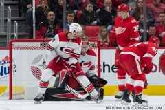 Red Wings vs Carolina Hurricanes Feb 24 2018 (41)