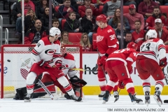 Red Wings vs Carolina Hurricanes Feb 24 2018 (42)