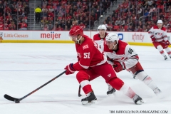Red Wings vs Carolina Hurricanes Feb 24 2018 (47)