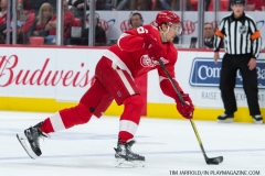 Red Wings vs Carolina Hurricanes Feb 24 2018 (7)