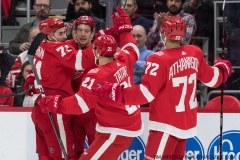 Red Wings vs Carolina Hurricanes Feb 24 2018 (9)