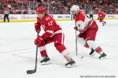 Red Wings vs Carolina Hurricanes Jan 21 2018 (1)