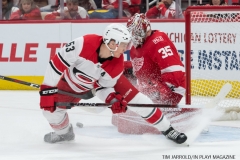 Red Wings vs Carolina Hurricanes Jan 21 2018 (10)