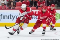 Red Wings vs Carolina Hurricanes Jan 21 2018 (11)