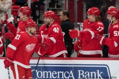 Red Wings vs Carolina Hurricanes Jan 21 2018 (12)