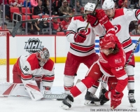 Red Wings vs Carolina Hurricanes Jan 21 2018 (15)