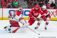 Red Wings vs Carolina Hurricanes Jan 21 2018 (17)