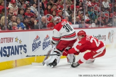 Red Wings vs Carolina Hurricanes Jan 21 2018 (2)