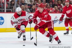 Red Wings vs Carolina Hurricanes Jan 21 2018 (23)