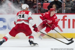 Red Wings vs Carolina Hurricanes Jan 21 2018 (24)
