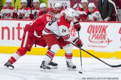 Red Wings vs Carolina Hurricanes Jan 21 2018 (27)