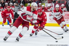 Red Wings vs Carolina Hurricanes Jan 21 2018 (28)