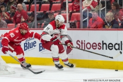 Red Wings vs Carolina Hurricanes Jan 21 2018 (3)