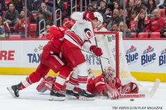 Red Wings vs Carolina Hurricanes Jan 21 2018 (31)