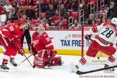 Red Wings vs Carolina Hurricanes Jan 21 2018 (4)