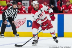 Red Wings vs Carolina Hurricanes Jan 21 2018 (5)
