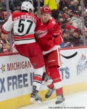 Red Wings vs Carolina Hurricanes Jan 21 2018 (6)