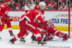 Red Wings vs Carolina Hurricanes Jan 21 2018 (8)