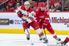 Red Wings vs Carolina Hurricanes Jan 21 2018 (9)
