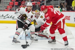Red Wings vs Blackhawks Jan 25 2018 (1)