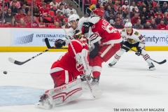 Red Wings vs Blackhawks Jan 25 2018 (11)