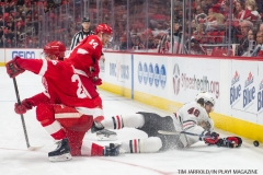 Red Wings vs Blackhawks Jan 25 2018 (12)