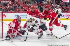 Red Wings vs Blackhawks Jan 25 2018 (15)