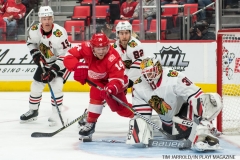 Red Wings vs Blackhawks Jan 25 2018 (2)