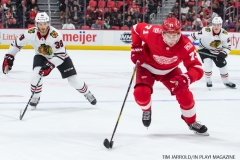 Red Wings vs Blackhawks Jan 25 2018 (23)
