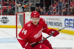 Red Wings vs Blackhawks Jan 25 2018 (3)