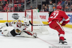 Red Wings vs Blackhawks Jan 25 2018 (4)