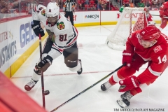 Red Wings vs Blackhawks Jan 25 2018 (5)