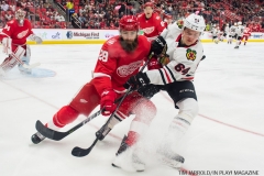 Red Wings vs Blackhawks Jan 25 2018 (6)