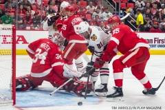 Red Wings vs Blackhawks Jan 25 2018 (7)