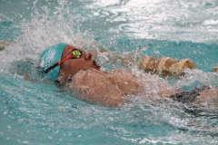 Nikola-Lackovic-back