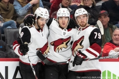 Coyotes-at-Detroit-Red-Wings-December-22-2019-27