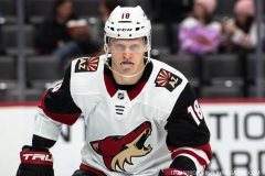 Coyotes-at-Detroit-Red-Wings-December-22-2019-31