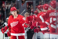 Coyotes-at-Detroit-Red-Wings-December-22-2019-56
