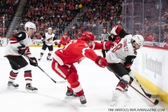 Coyotes-at-Detroit-Red-Wings-December-22-2019-9