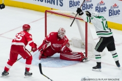 Red Wings vs Dallas Stars Jan 16 2018 (10)
