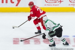 Red Wings vs Dallas Stars Jan 16 2018 (11)