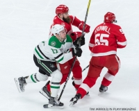 Red Wings vs Dallas Stars Jan 16 2018 (12)