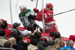 Red Wings vs Dallas Stars Jan 16 2018 (14)