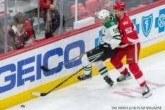 Red Wings vs Dallas Stars Jan 16 2018 (15)