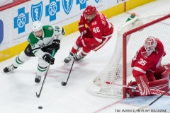 Red Wings vs Dallas Stars Jan 16 2018 (17)