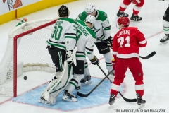 Red Wings vs Dallas Stars Jan 16 2018 (2)